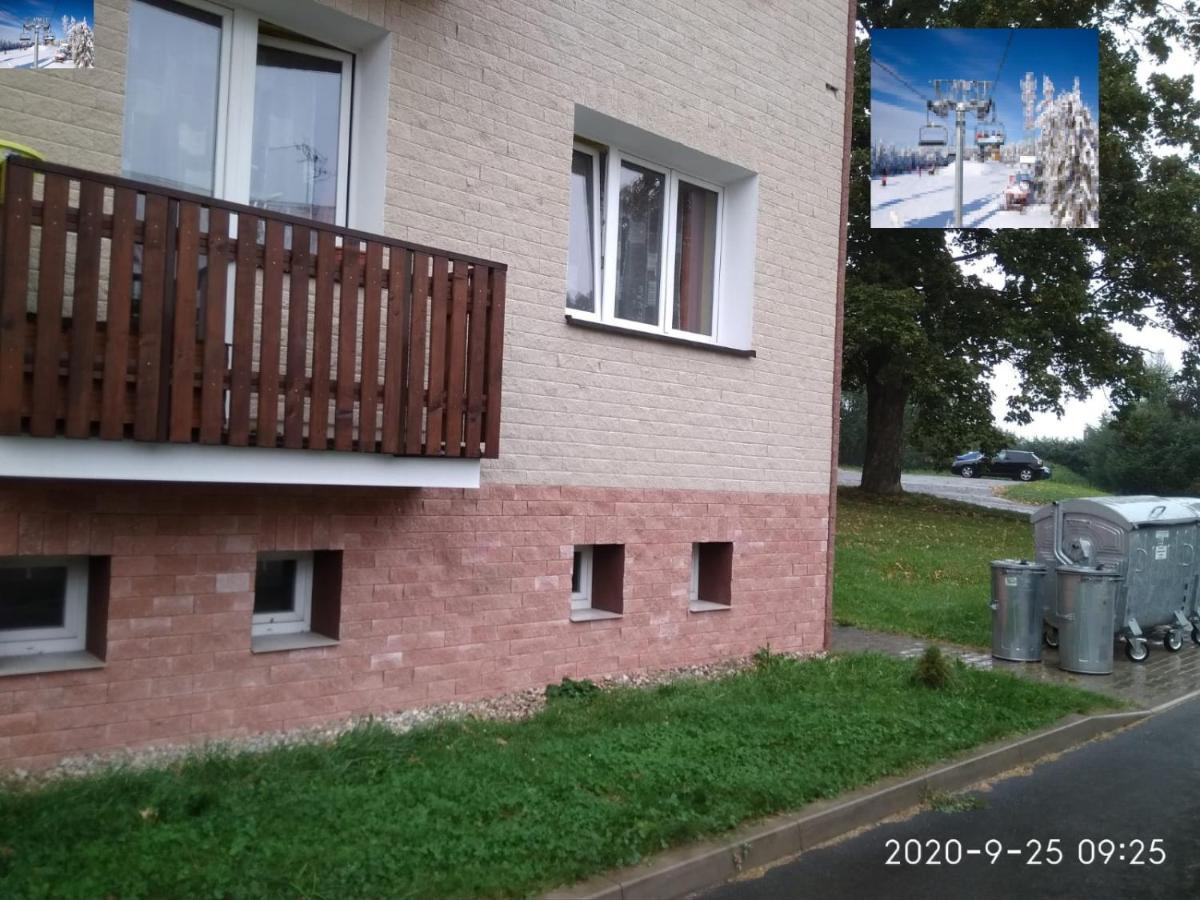 Plne Vybaveny 2+1Byt S Balkonem A Koji Pro Kola A Lyze. Rokytnice v Orlických Horách 外观 照片