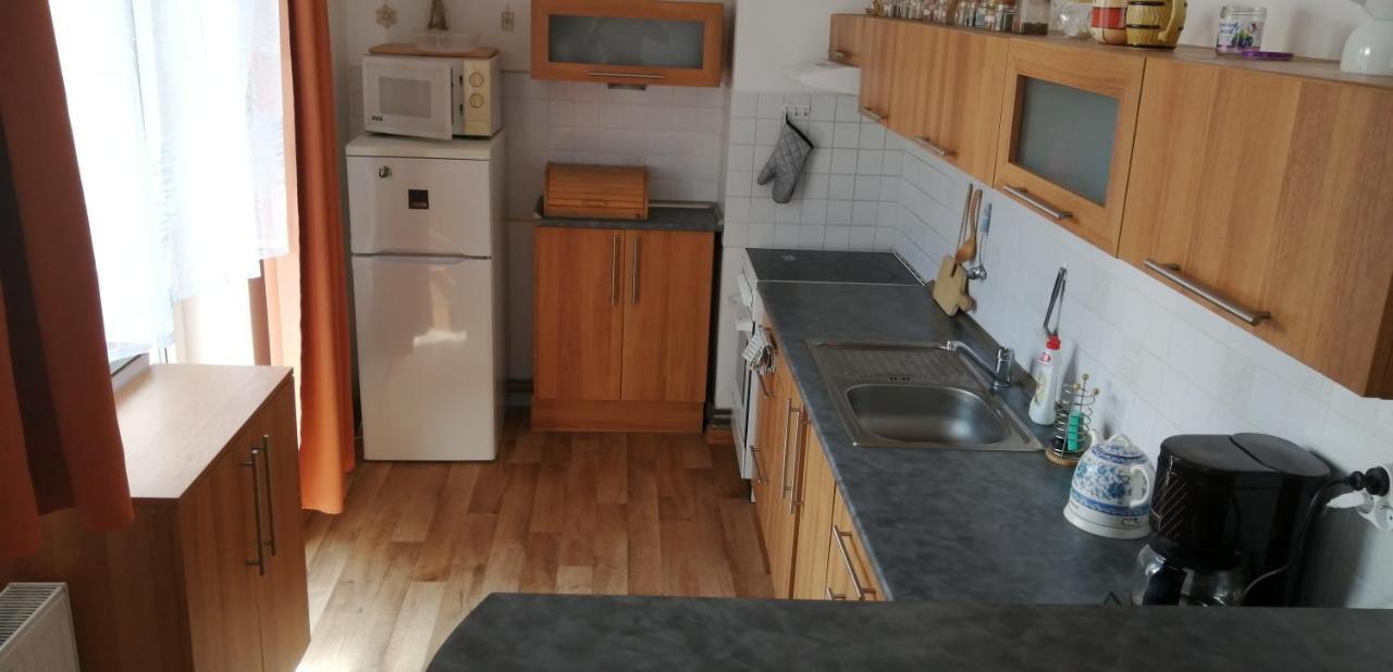 Plne Vybaveny 2+1Byt S Balkonem A Koji Pro Kola A Lyze. Rokytnice v Orlických Horách 外观 照片